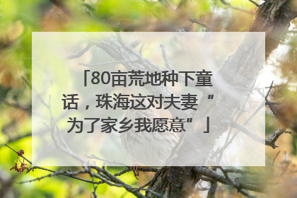 80亩荒地种下童话，珠海这对夫妻“为了家乡我愿意”
