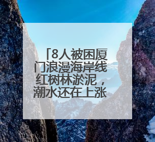 8人被困厦门浪漫海岸线红树林淤泥，潮水还在上涨！当地紧急救援全部脱困
