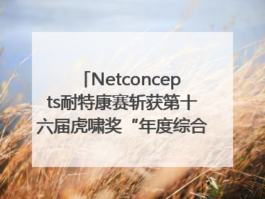 Netconcepts耐特康赛斩获第十六届虎啸奖“年度综合服务商”大奖